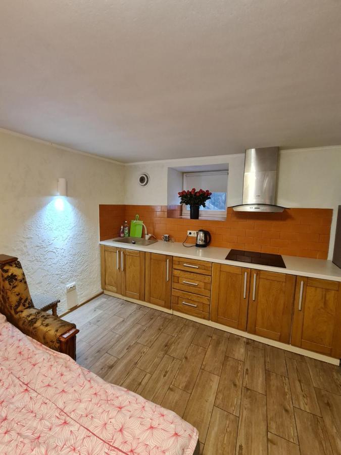 Ferienwohnung Студіо На Кoновальця Lemberg Exterior foto
